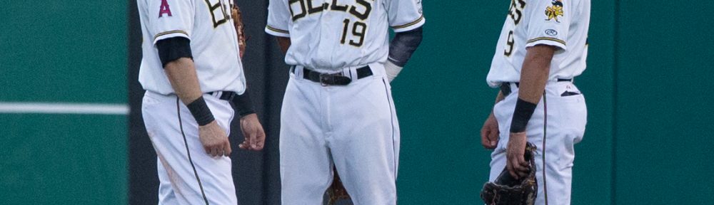 Bees Outfield