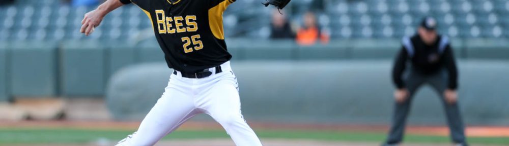 Bees pitcher Drew Gagnon