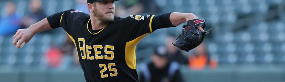 Bees pitcher Drew Gagnon