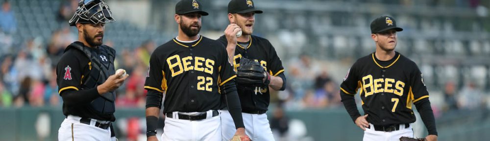 Salt Lake Bees (Photo Rob Gray)