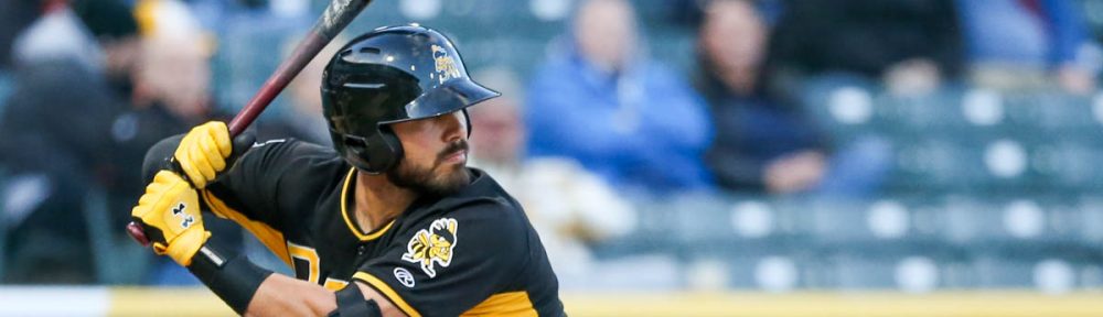 Bees Catcher Tony Sanchez